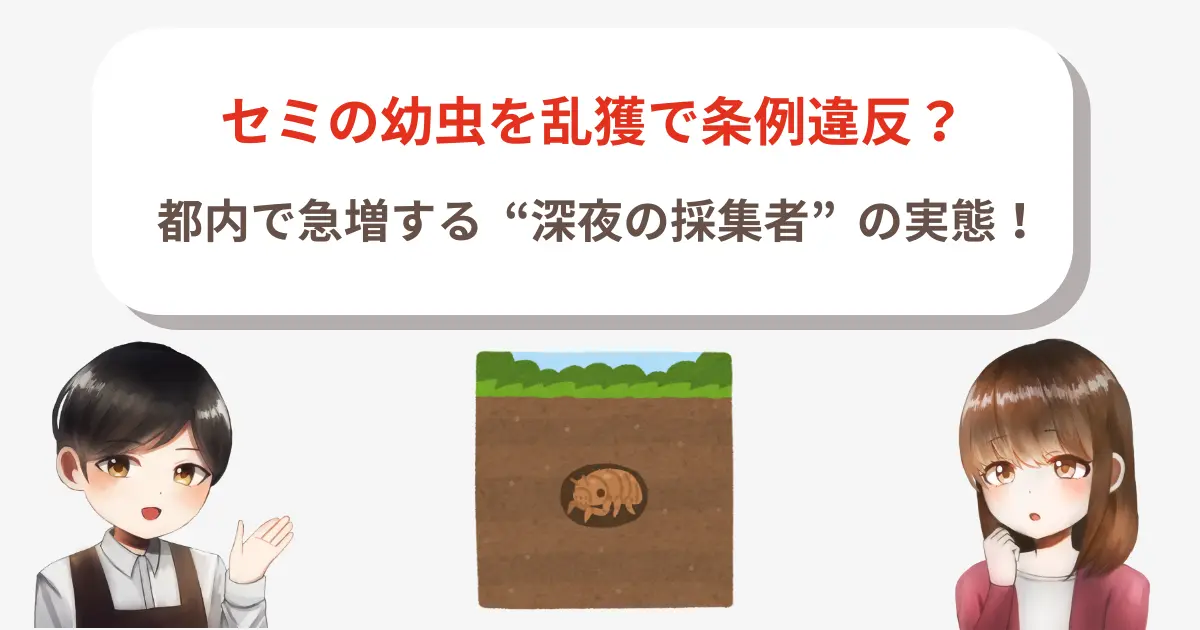 セミの幼虫を乱獲で条例違反?都内で急増する“深夜の採集者”の実態!
